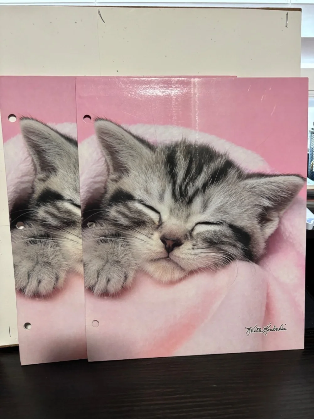 Cat/ Kitten Folder Bundle